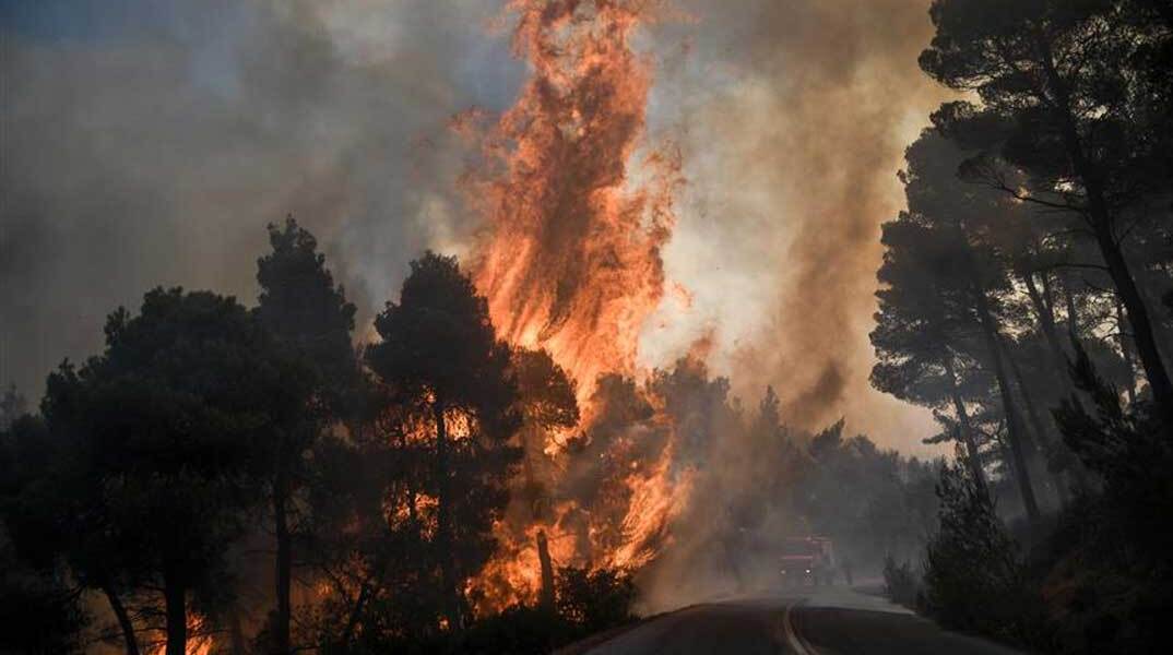 Δασική πυρκαγιά