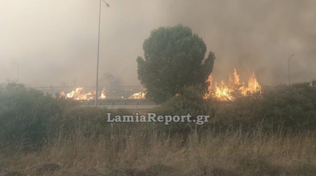 Έκλεισε η Αθηνών - Λαμίας λόγω της φωτιάς στο Ακραίφνιο Βοιωτίας - Ισχυροί οι άνεμοι στην περιοχή