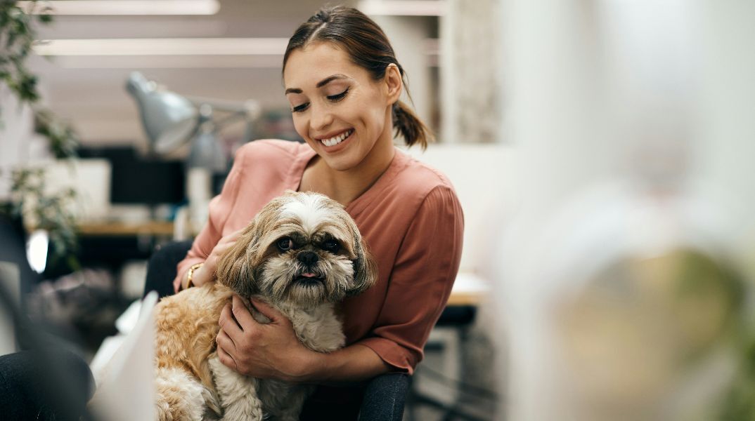Νέα έρευνα της Mars: Οι pet-friendly χώροι εργασίας κερδίζουν έδαφος - Η Gen Z και οι Millennials οδηγούν την αλλαγή 