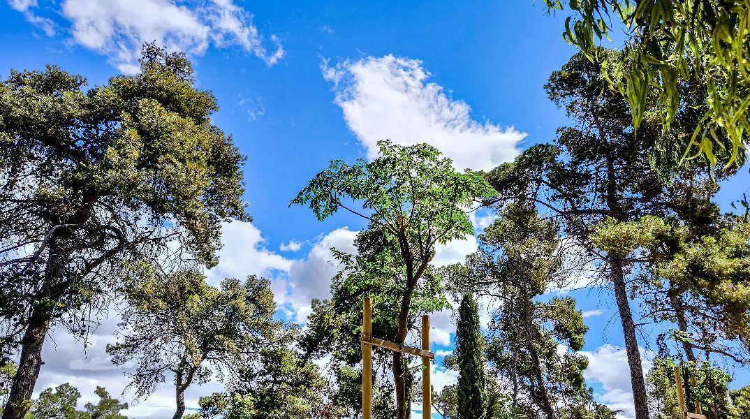 Άστατος ο καιρός την Παρασκευή - Μέχρι τους 35 βαθμούς Κελσίου η θερμοκρασία 