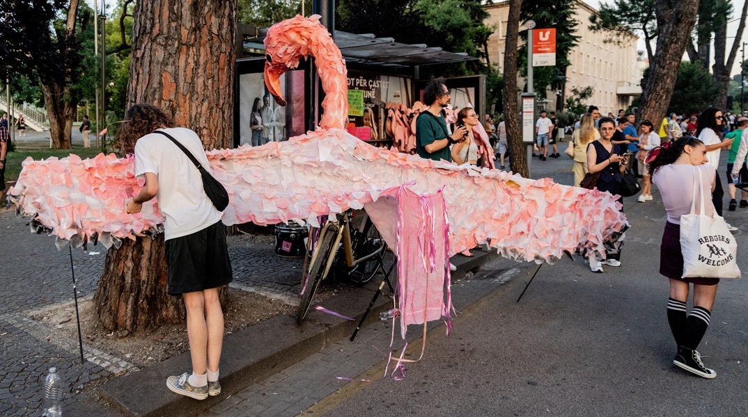 Αλβανία: Η Επανάσταση των Φλαμίνγκο