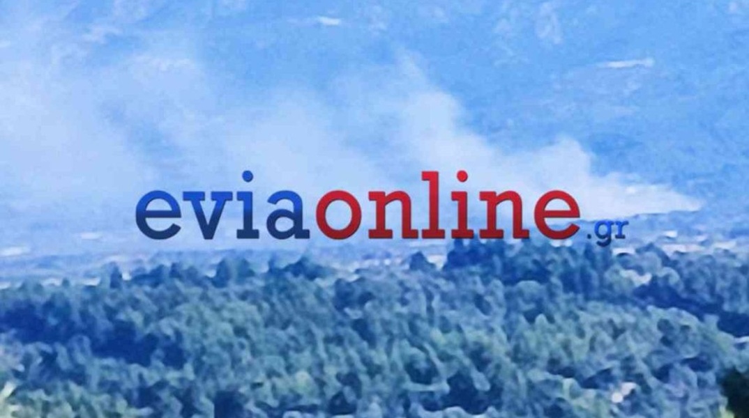Εύβοια: Χωρίς ενεργό μέτωπο η φωτιά στη Λούτσα