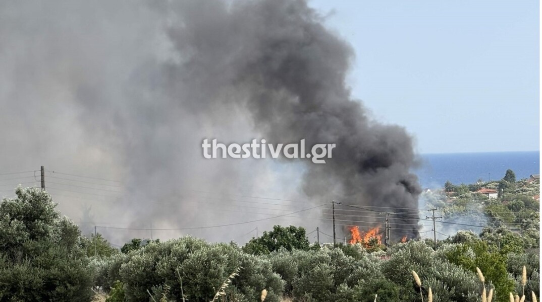 Φωτιά στη Νέα Καλλικράτεια Χαλκιδικής: Εκκενώνονται Κηπούπολη και Αμπελάκια 