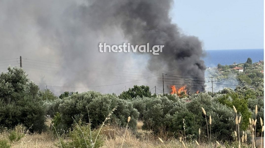 Χαλκιδική: Οριοθετήθηκε η φωτιά στη Νέα Καλλικράτεια - Παραμένουν στο σημείο οι πυροσβέστες