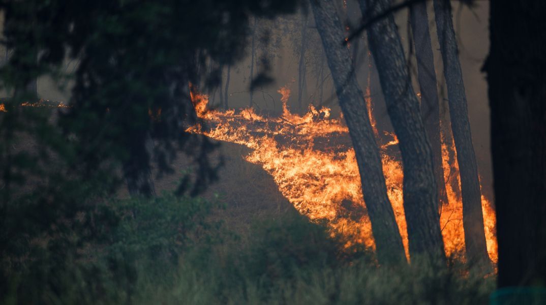 Πυροσβεστική: 60 αγροτοδασικές πυρκαγιές το τελευταίο 24ωρο - Ποιες οι σημαντικότερες