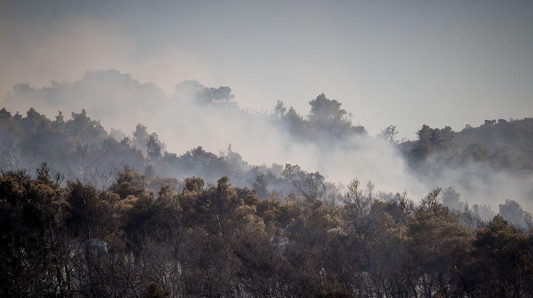 Meteo: Η φωτιά στην Οινόη δημιούργησε τον δικό της καιρό - Τι είναι η πυροεπαγωγή