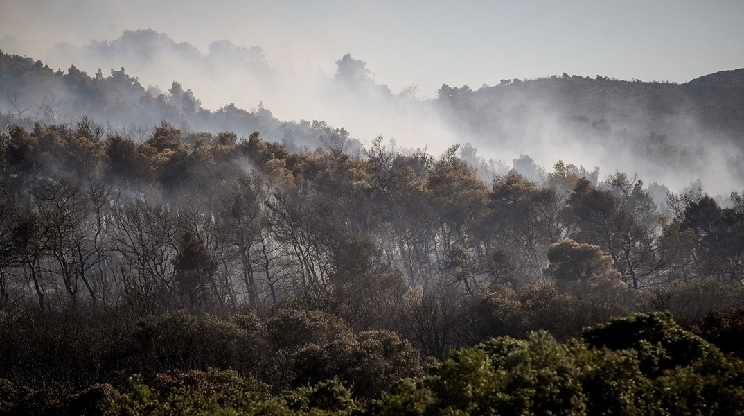 Εικόνα από την επιχείρηση κατάσβεσης της φωτιάς στην Οινόη