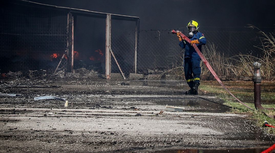 Καλοχώρι: Συνελήφθη 70χρονος για πρόκληση πυρκαγιάς από αμέλεια - Χρησιμοποίησε γυμνή φλόγα για να απομακρύνει σφήκες