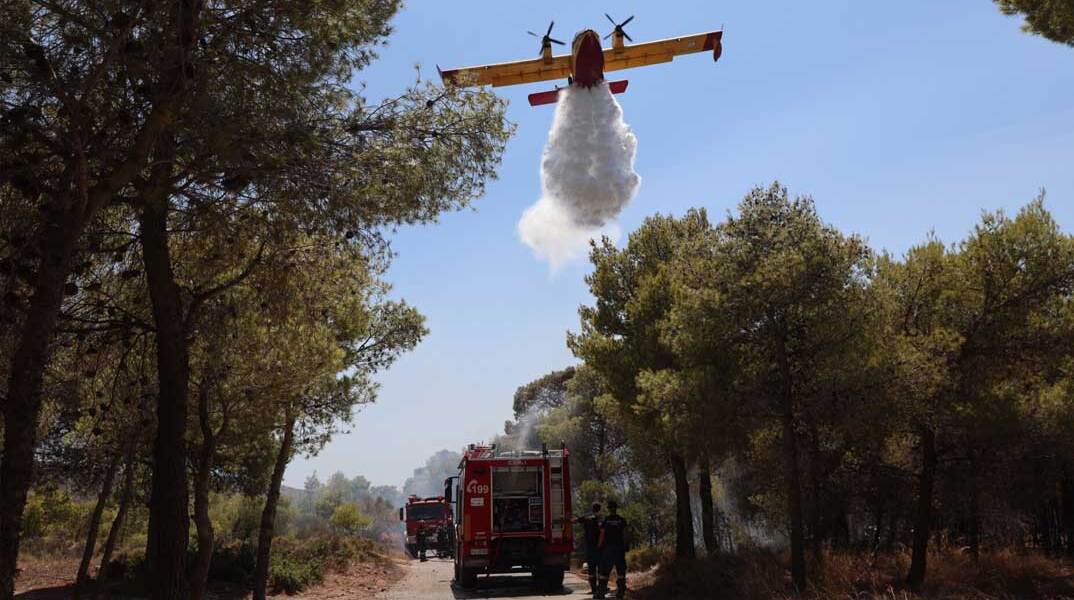 Οχήματα της Πυροσβεστικής και αεροπλάνο σε δασική πυρκαγιά