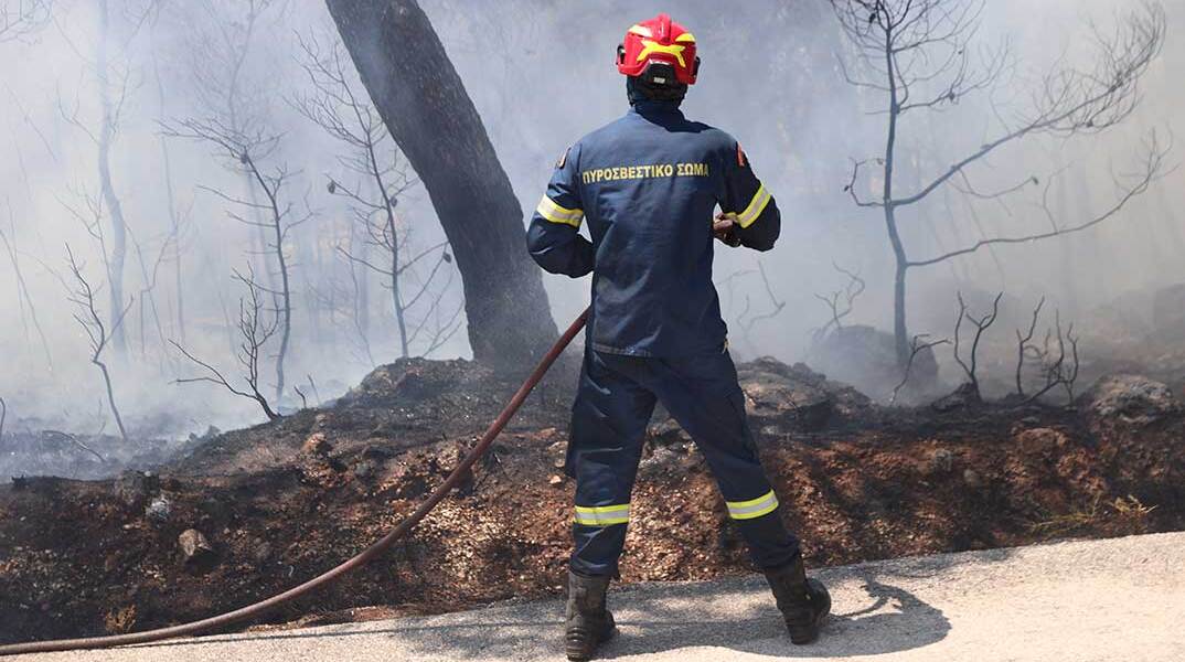 Πυροσβέστης σε δασική πυρκαγιά