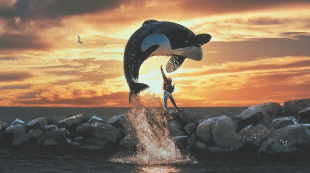 Το Free Willy επιστρέφει - Οι δημιουργοί της Marvel, αδελφοί Ρούσο, αναλαμβάνουν την παραγωγή της νέας ταινίας για τη διάσημη όρκα.