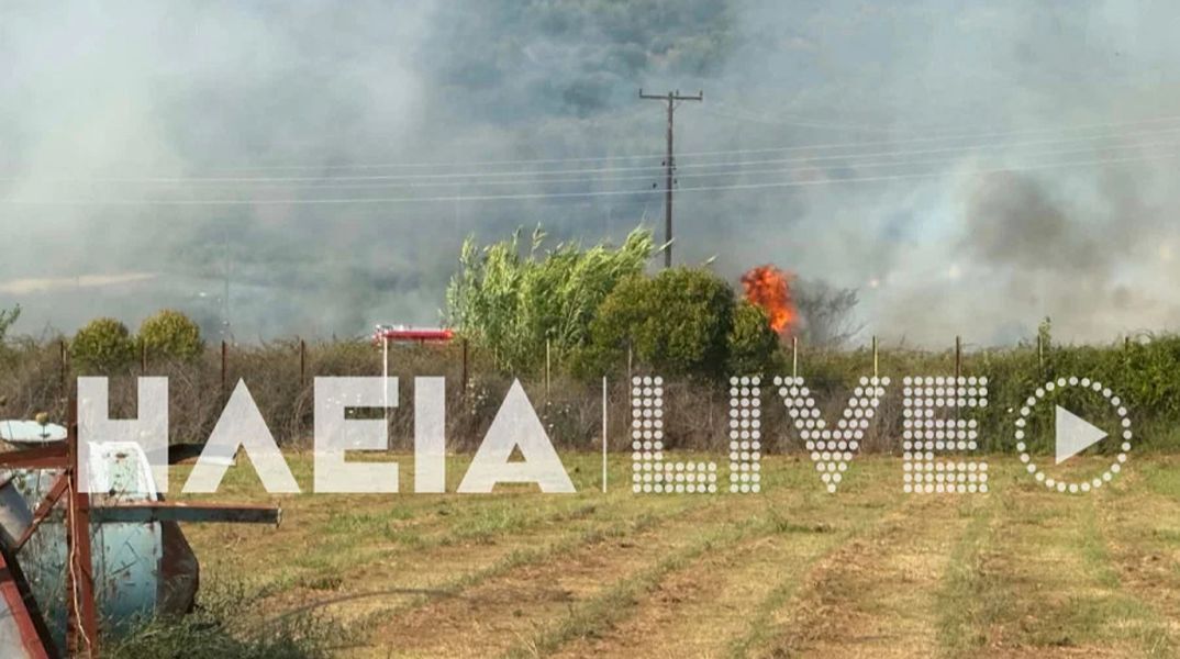 Φωτιά τώρα στον Πύργο Ηλείας - Ήχησε το 112 για ετοιμότητα