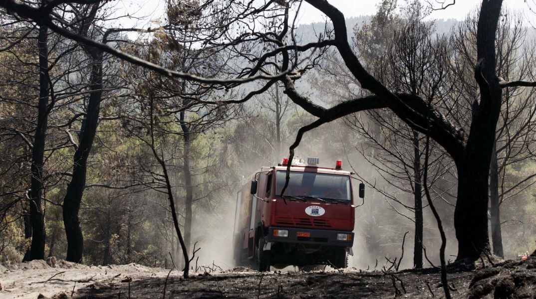 Χαλκιδική: Απαγόρευση διέλευσης την Τετάρτη σε Κασσάνδρα, Σιθωνία και Δήμο Αριστοτέλη λόγω αυξημένου κινδύνου πυρκαγιάς - Αναλυτικά οι περιοχές.