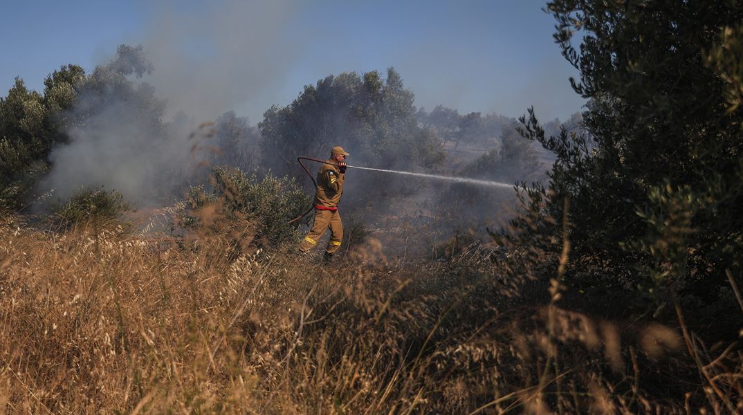 Φωτιά τώρα κοντά στα διόδια Αφιδνών
