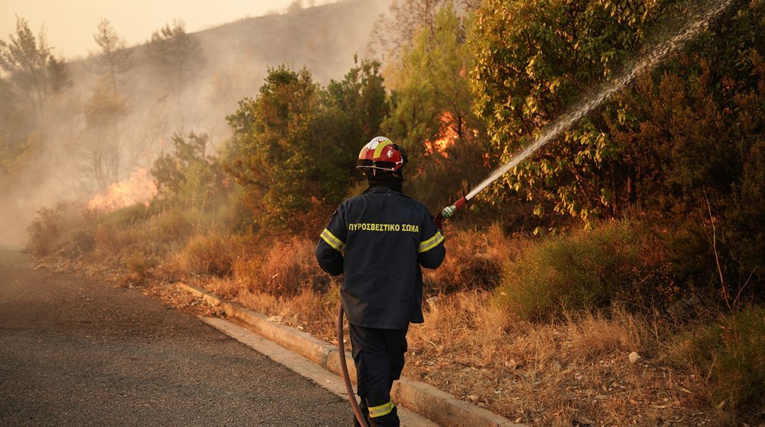 Φωτιά τώρα στα Οινόφυτα