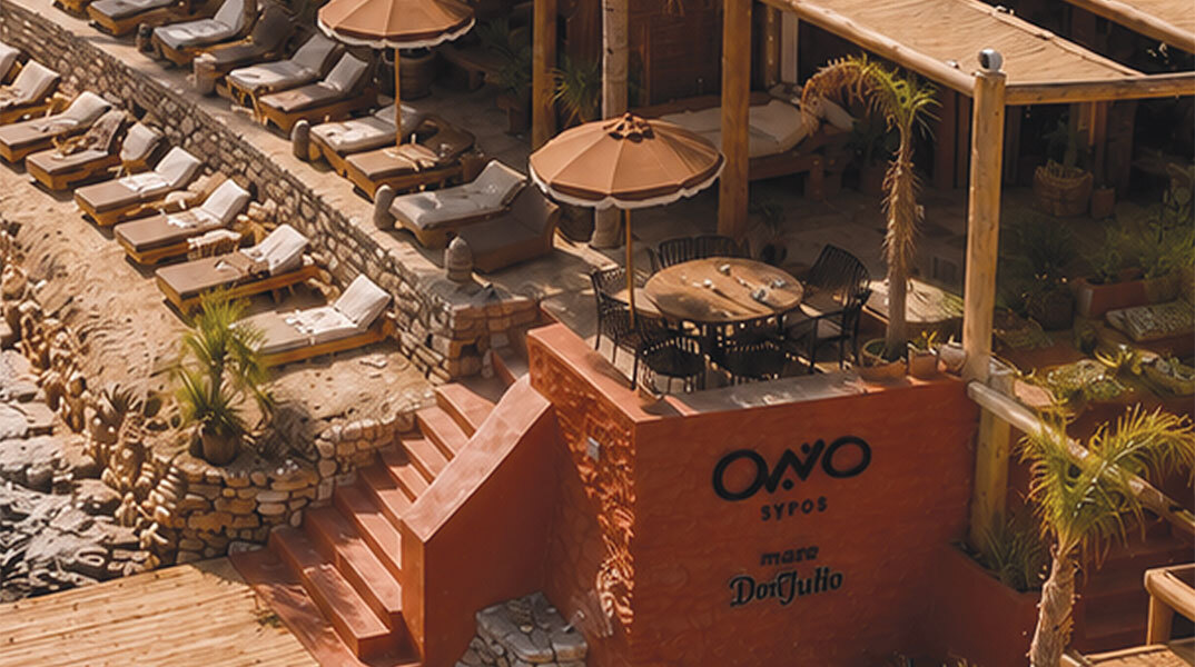 Ono Concept