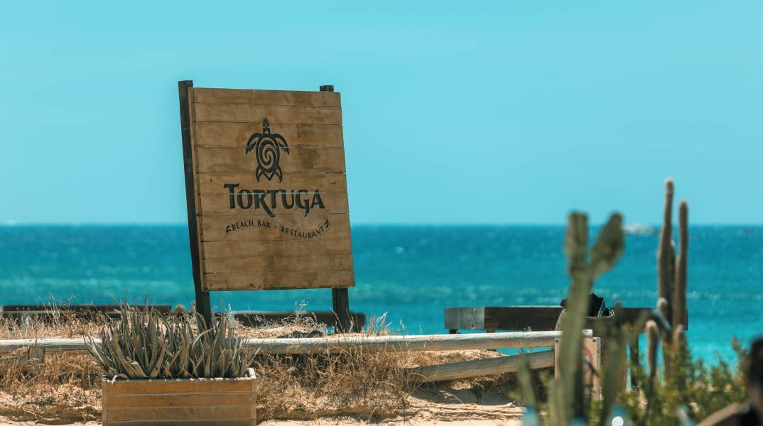 Tortuga Νάξος