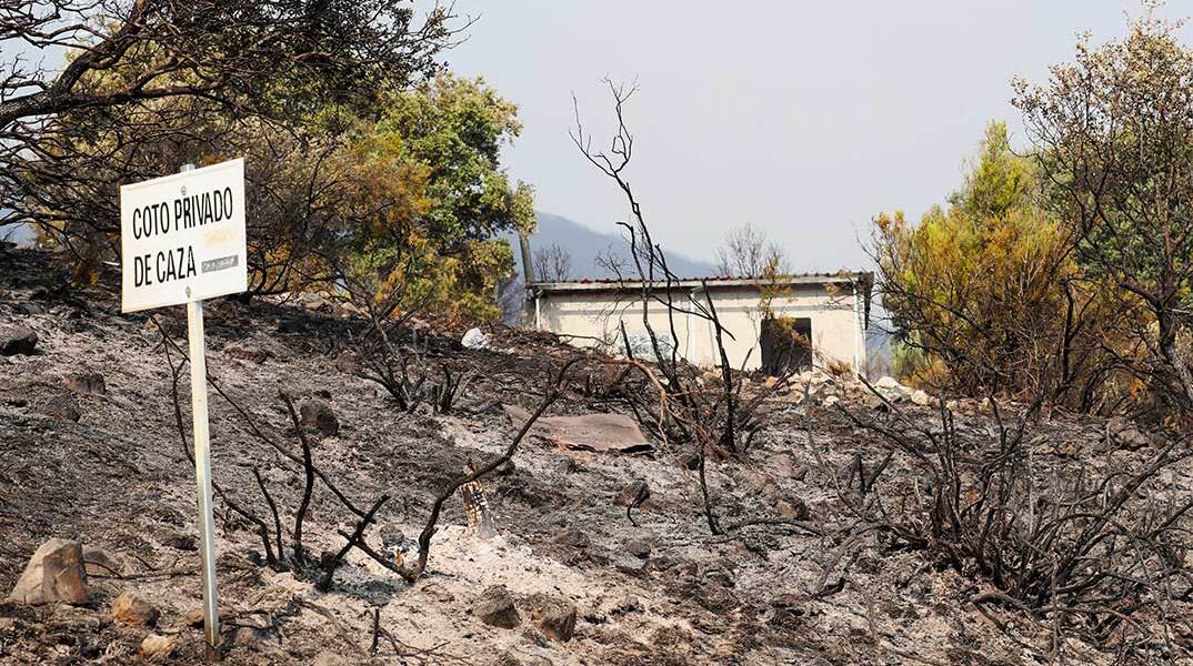Στάχτη και αποκαΐδια στην Ισπανία μετά τις πυρκαγιές