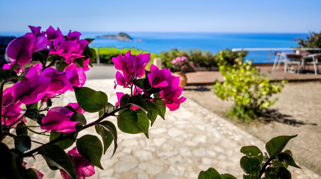 Ο καιρός σήμερα: Ηλιοφάνεια με ζέστη έως 38°C, μεταφορά αφρικανικής σκόνης και τοπικές μπόρες στα ορεινά - Αναλυτική πρόγνωση για όλη τη χώρα.