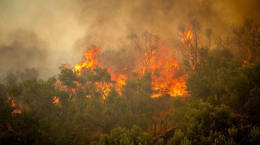 Φωτιά τώρα στη Μυτιλήνη - Εκκενώνεται το Πλωμάρι