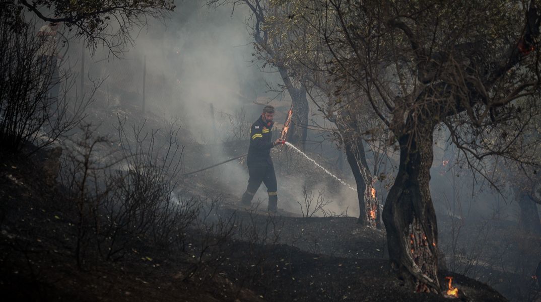 Σε δύο μέτωπα η φωτιά στο Πλωμάρι της Λέσβου - Έχουν εκκενωθεί οικισμοί