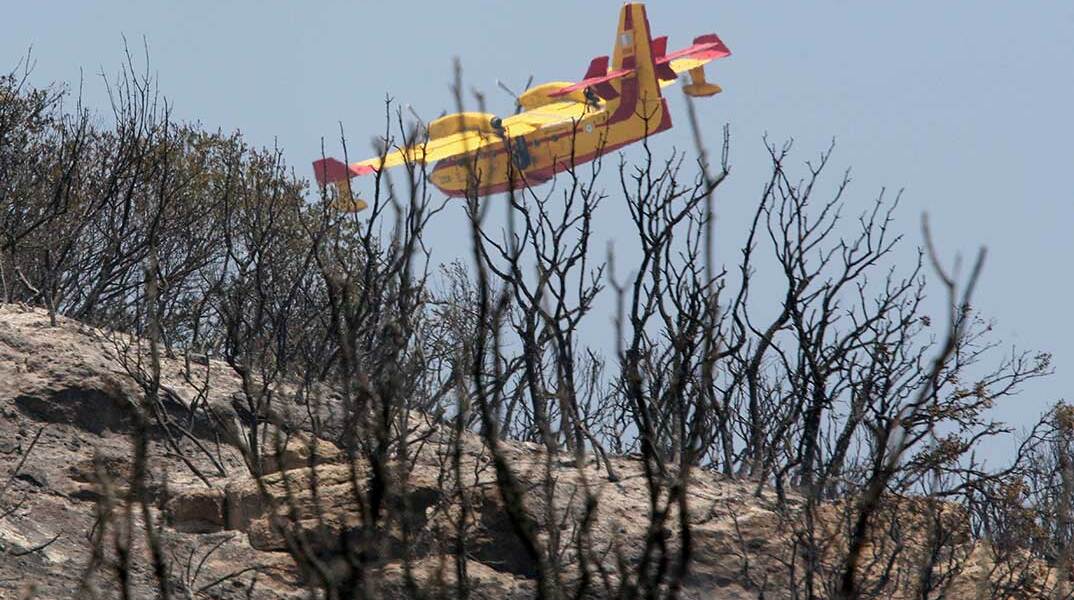 Canadair πάνω από καμένες εκτάσεις μετά την πυρκαγιά