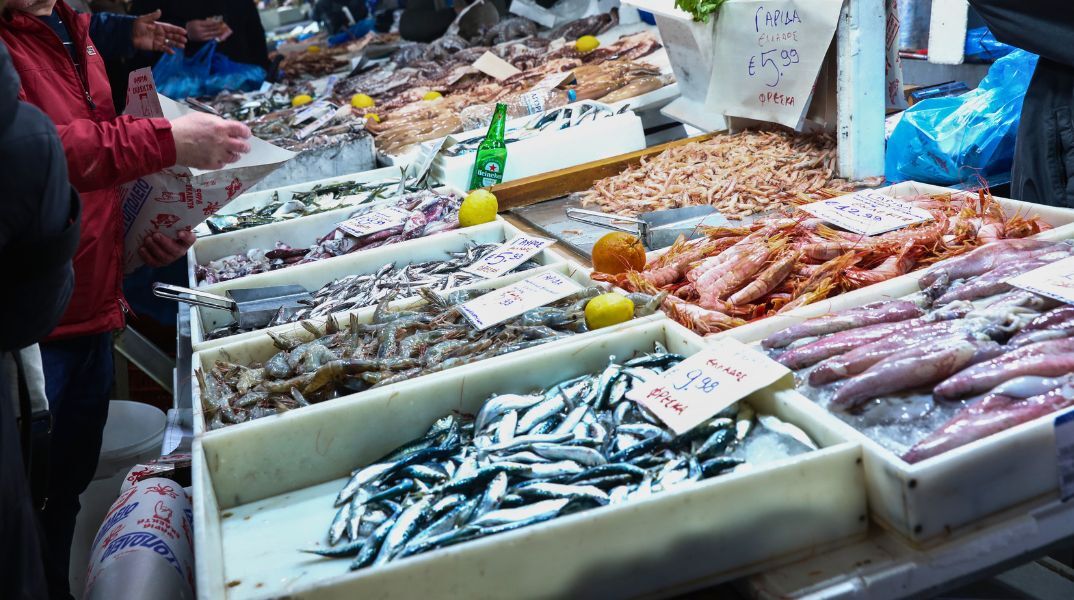 Fish Guide: Ένας οδηγός επιβίωσης για τα ψάρια που τρώμε και τις θάλασσες που αδειάζουν
