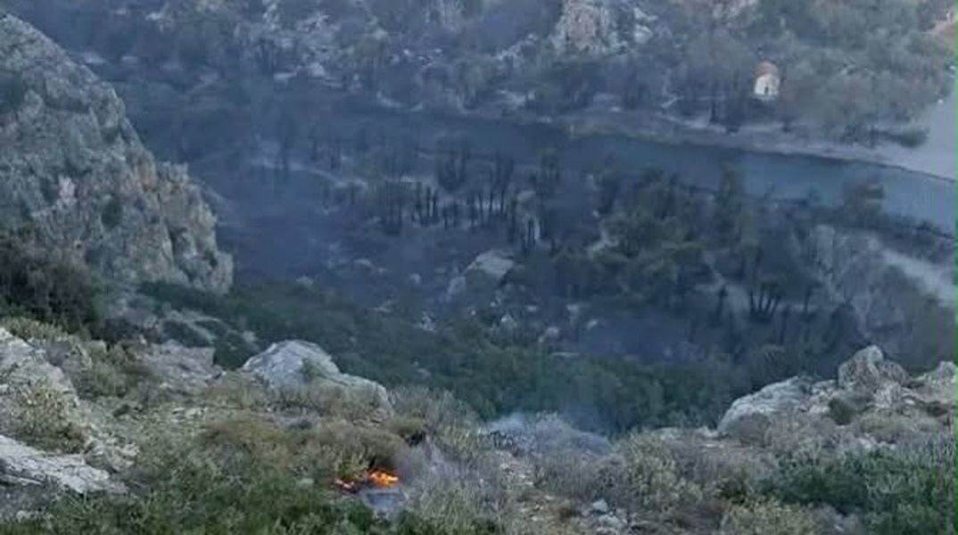 Κάηκε μεγάλο μέρος του εμβληματικού φοινικόδασους της Πρέβελης  - Αποκαρδιωτικές εικόνες
