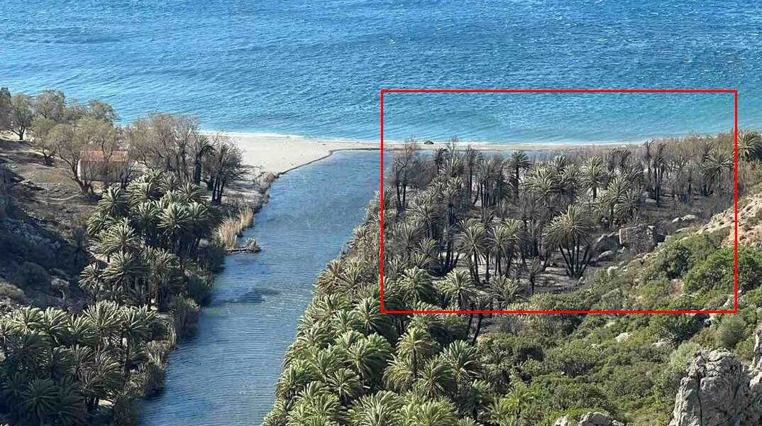 Μικρές ζημιές από τη φωτιά στο Φοινικόδασος Πρέβελη