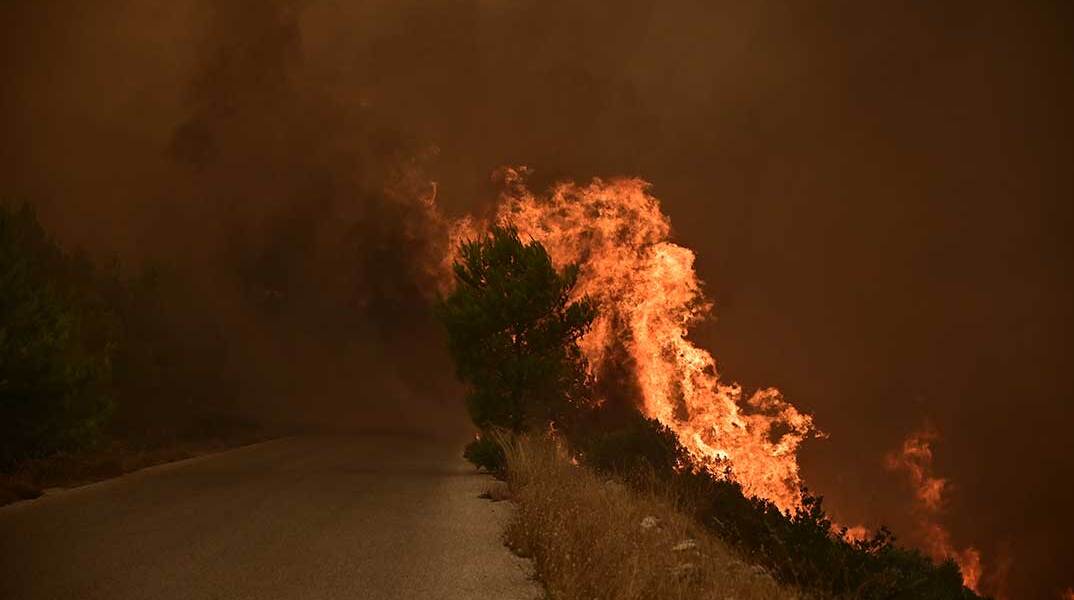 Φωτιά στη Βοιωτία
