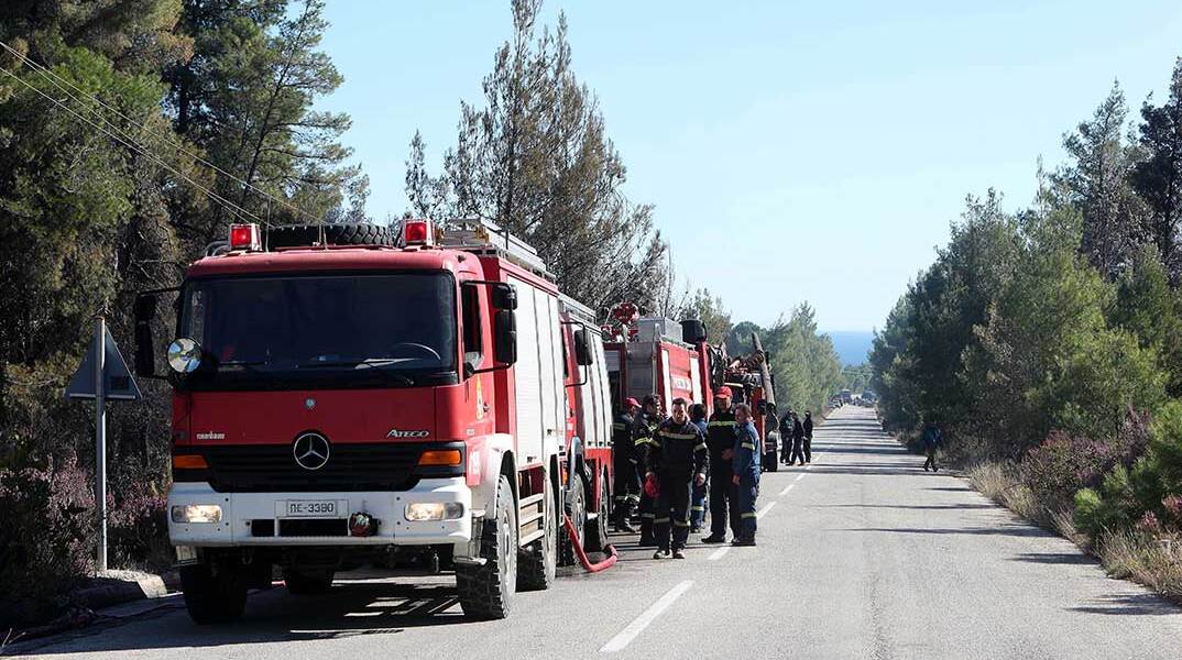 Πυροσβέστες επιχειρούν σε φωτιά στη Χαλκιδική