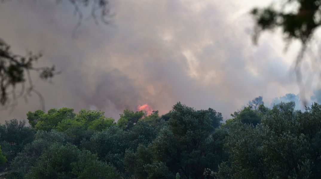 Μήνυμα από το 112 εστάλη για εκκένωση των περιοχών Αφαία και Άνω Δάσος Χαϊδαρίου λόγω της φωτιάς στην Περιφερειακή Αιγάλεω