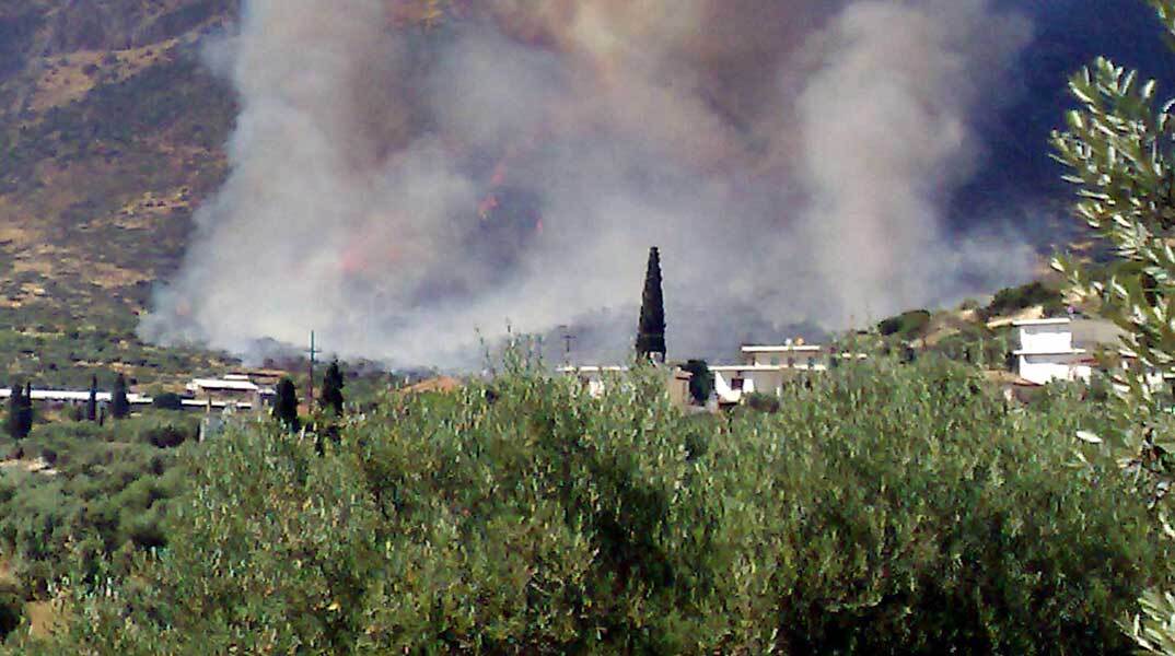 Φωτιά στη Φωκίδα απειλεί σπίτια