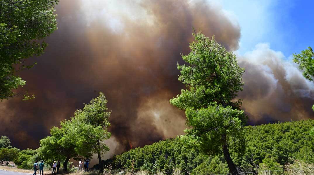 Φωτιά στη Βοιωτία καίει δάσος στο Πόρτο Γερμενό