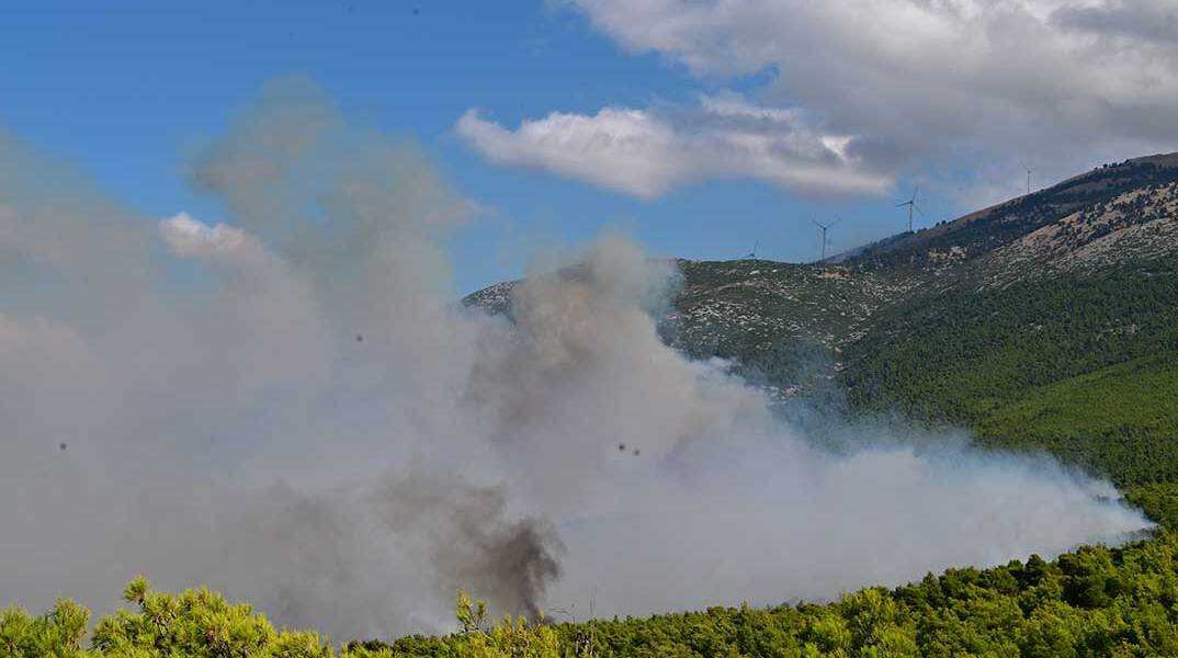 Η φωτιά στη Βοιωτία καίει παρθένο δάσος στην περιοχή που βρίσκεται το Πόρτο Γερμενό