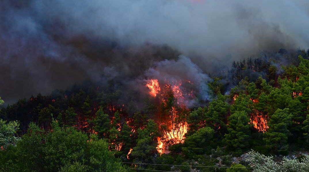 Η φωτιά στη Βοιωτία κάνει στάχτη δάσος