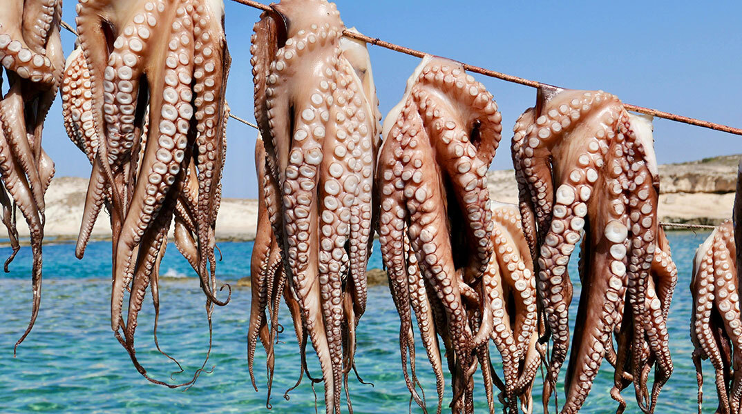 Aegean Cuisin - Κυκλάδες πέρα από την καρτ ποστάλ: η αυθεντική γεύση των νησιών