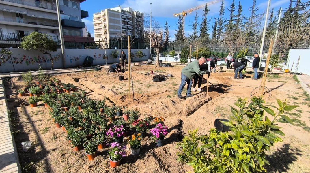 Ο Δήμος Αθηναίων ενισχύει το πράσινο σε 43 σχολικές αυλές, δημιουργώντας οάσεις δροσιάς με τη φύτευση 229 δέντρων και 1.238 θάμνων.