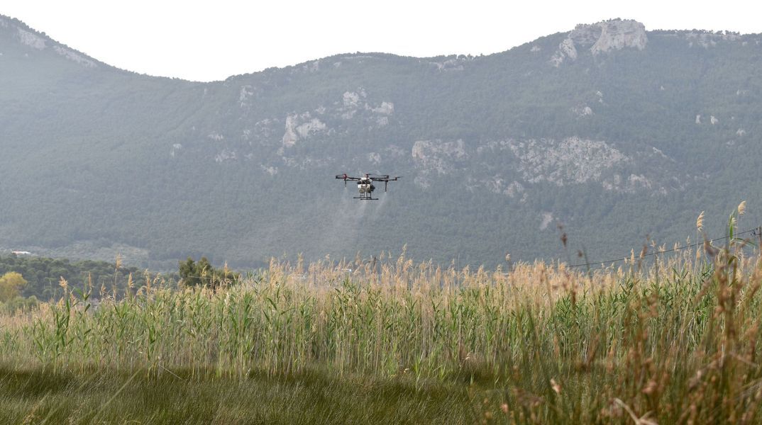 Ο ΙΣΑ ζητά εντατικοποίηση μέτρων κατά των κουνουπιών λόγω αυξημένης κυκλοφορίας του ιού Δυτικού Νείλου στην Αττική και καλεί τους πολίτες σε αυστηρή προστασία.