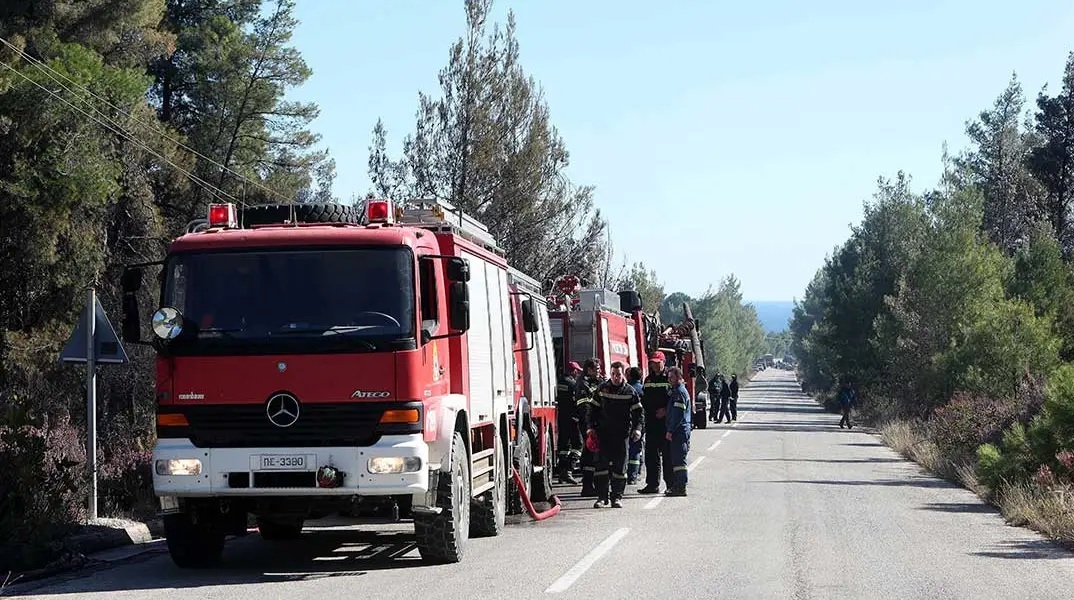 Οριοθετήθηκε μέσα σε μισή ώρα φωτιά στα Πυργαδίκια Χαλκιδικής - Στο σημείο επιχειρούν 30 πυροσβέστες, έρευνα από το Ανακριτικό Κλιμάκιο