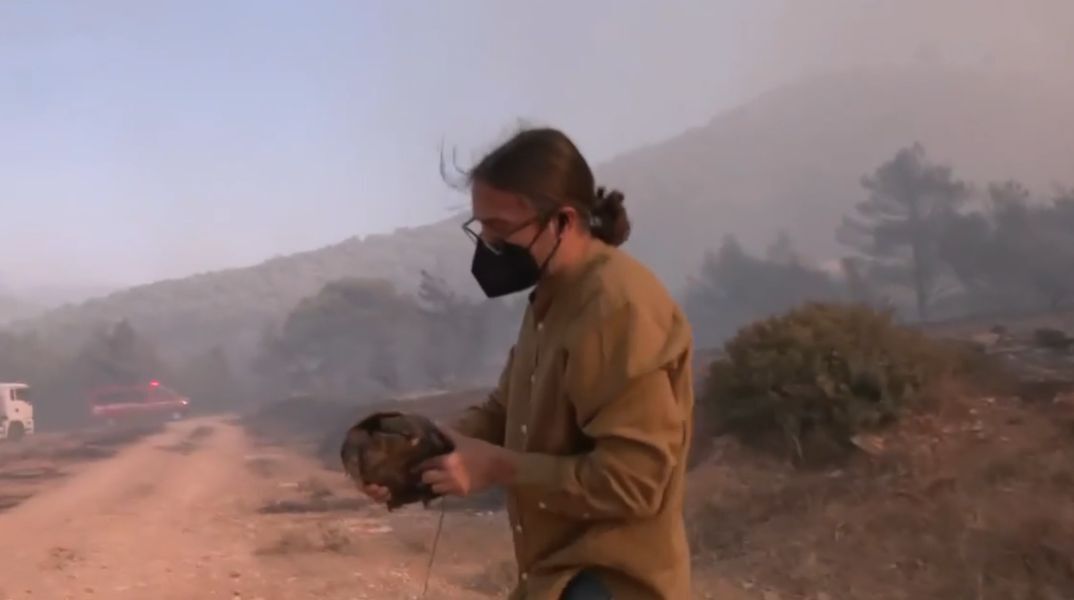 Φωτιά στον Κουβερά: Δημοσιογράφος της ΕΡΤ διέκοψε το ρεπορτάζ για να σώσει χελώνα από την πυρκαγιά - Το περιστατικό καταγράφηκε ζωντανά.