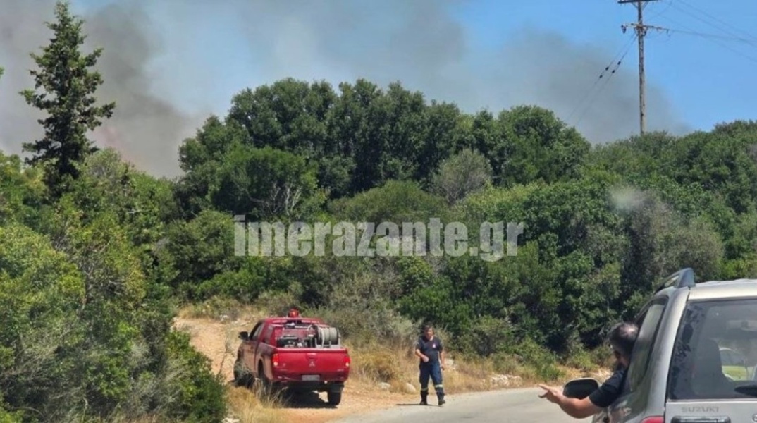 Φωτιά στις Ελιές Ζακύνθου