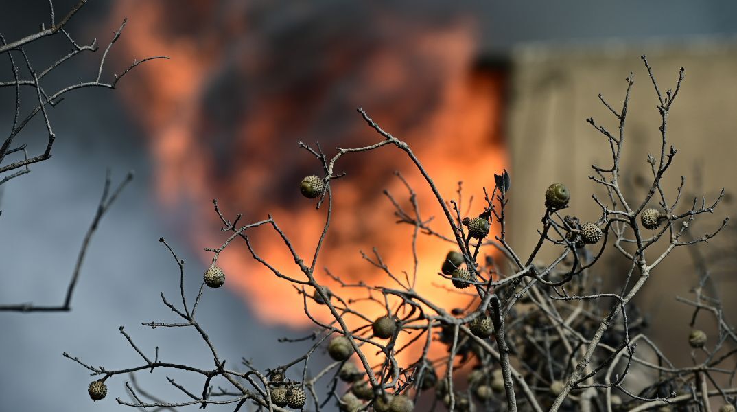 Πυρκαγιά εκδηλώθηκε στα Σήμαντρα Χαλκιδικής - Επιχειρούν 45 πυροσβέστες, 4 εναέρια μέσα και μηχανήματα του Δήμου υπό τη συνεχή επιτήρηση drones