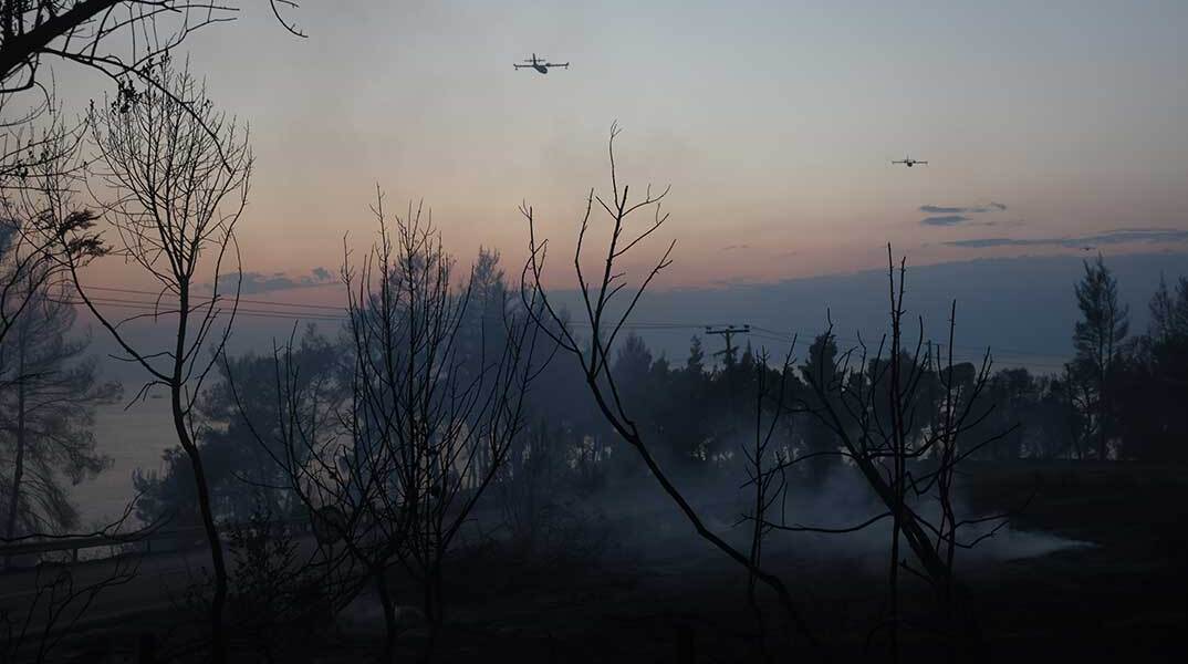 Καμένη γη μετά τη φωτιά στη Χαλκιδική