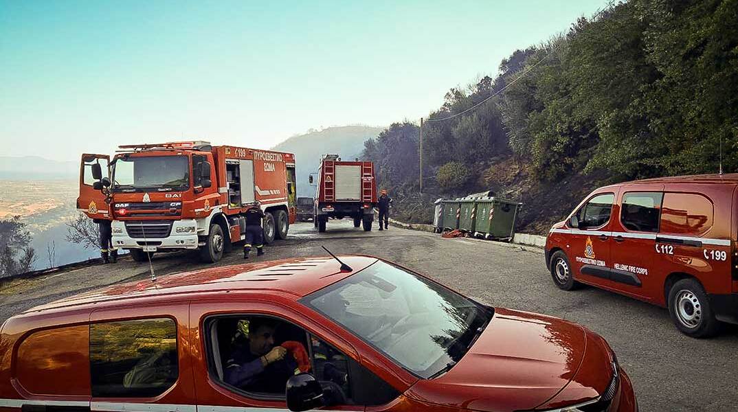 Πυροσβέστες σε δασική πυρκαγιά