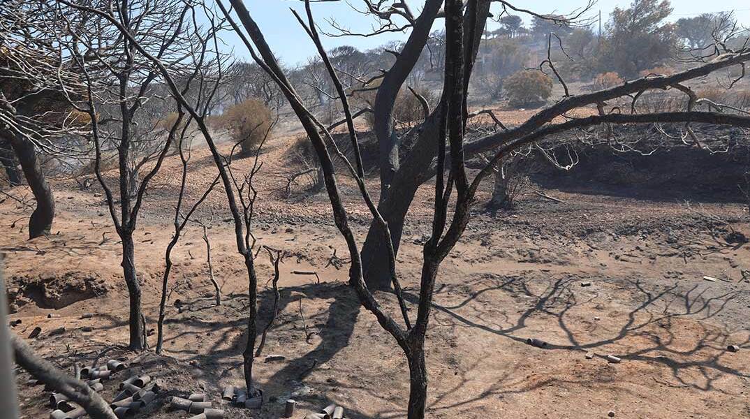 Καμένη γη μετά τη φωτιά