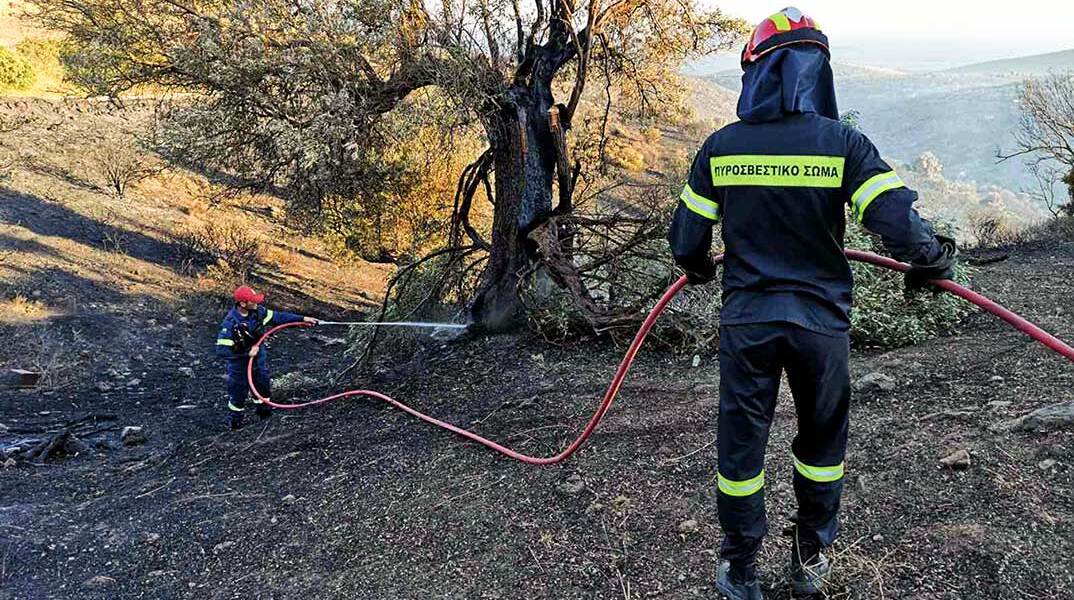 Πυροσβέστης επιχειρεί σε φωτιά στην Κάρυστο