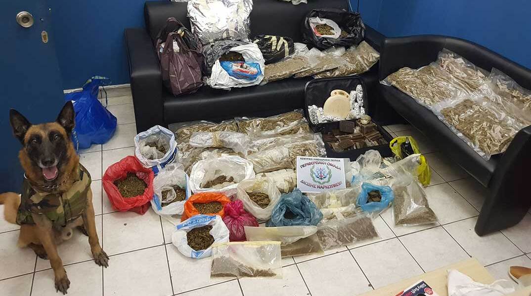 Σκύλος του Λιμενικού δίπλα σε ναρκωτικά που εντόπισε
