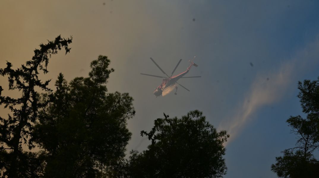 Πυρκαγιά εκδηλώθηκε σε μεικτή έκταση στην Αχλαδερή Λέσβου, κινητοποιώντας ισχυρές επίγειες δυνάμεις και εναέρια μέσα της Πυροσβεστικής.