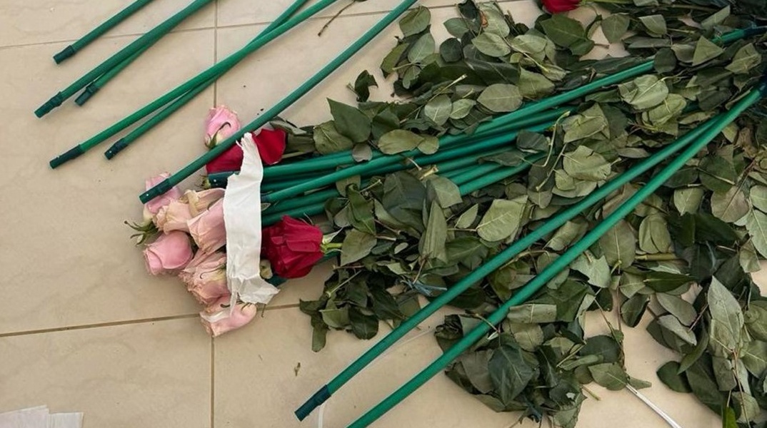 Επιχείρηση «Τα άνθη του κακού»: Κύκλωμα έκρυβε 84 κιλά κοκαΐνης μέσα σε τριαντάφυλλα